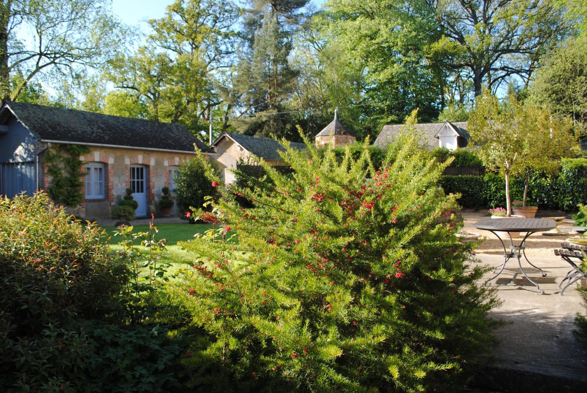 Au Calme Dans La Campagne Du Haut Anjou Pouancé Exteriér fotografie